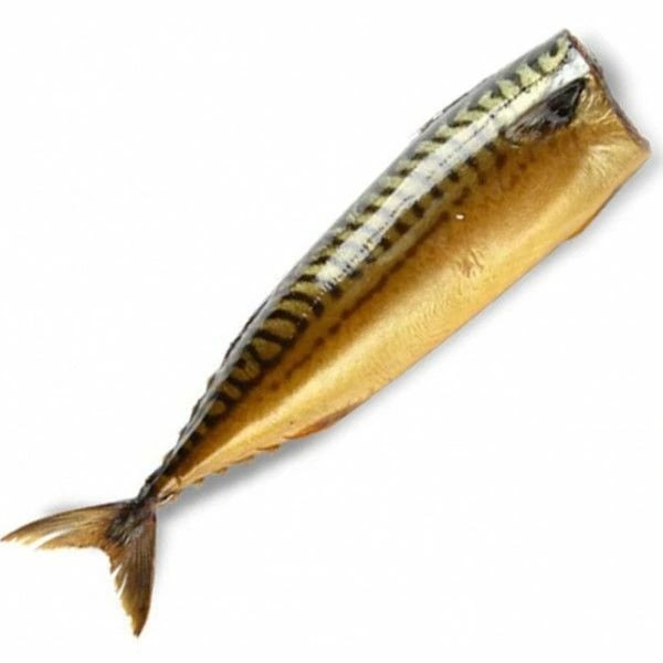 Скумбрия