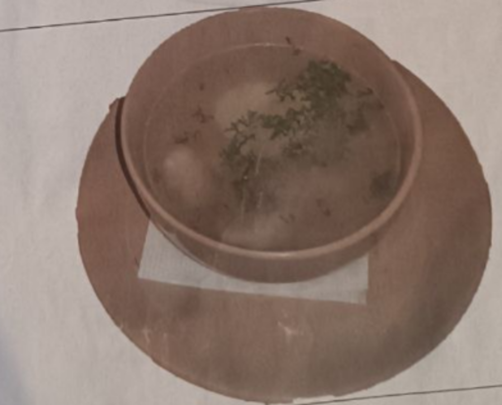 Добрий ранок (курячий-бульйон)