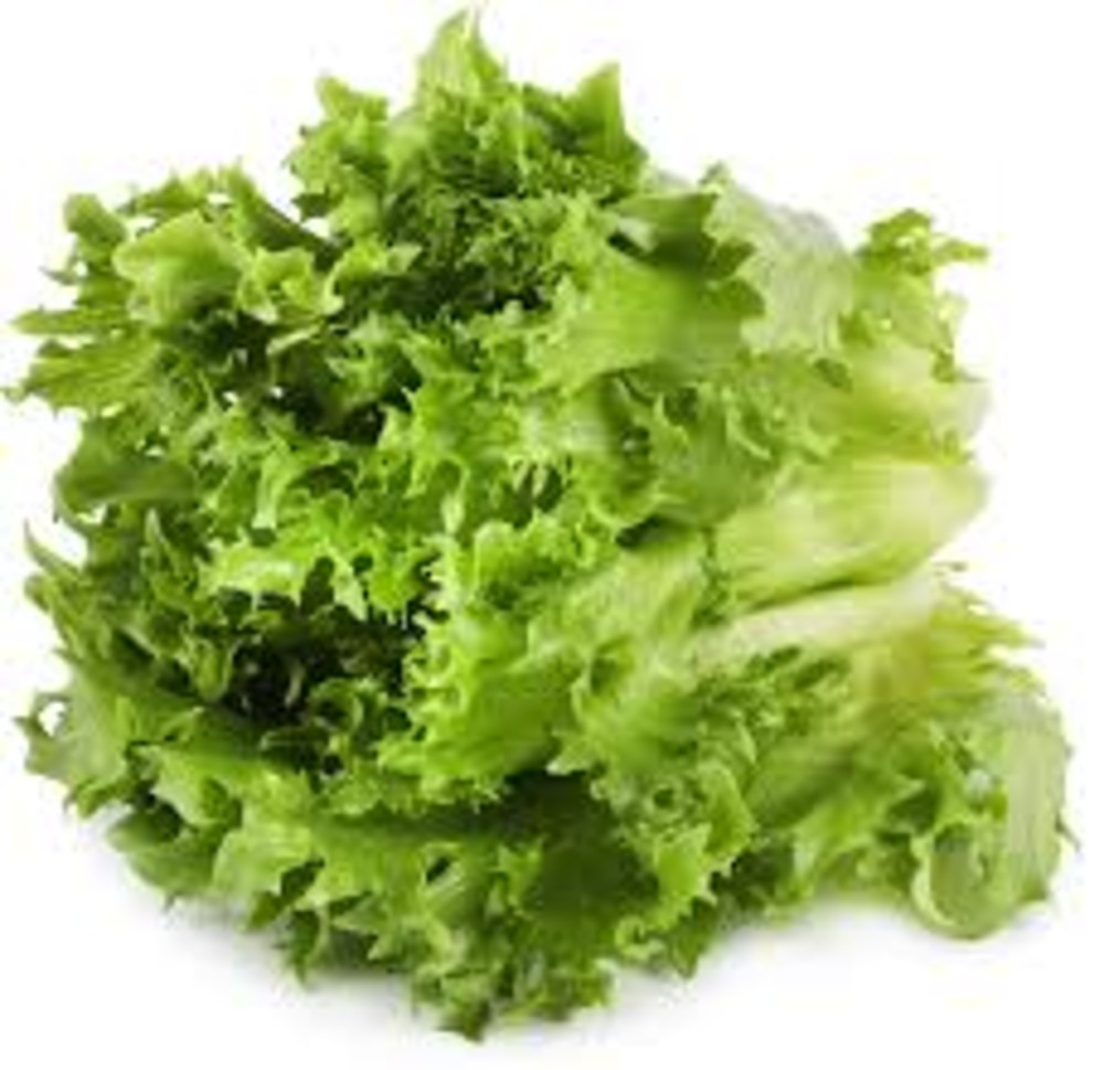 Фриллиз (салат барги)