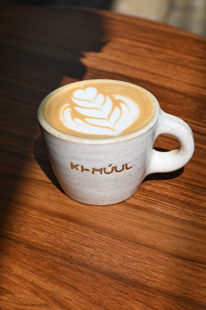 Capuccino Irlandes 14oz