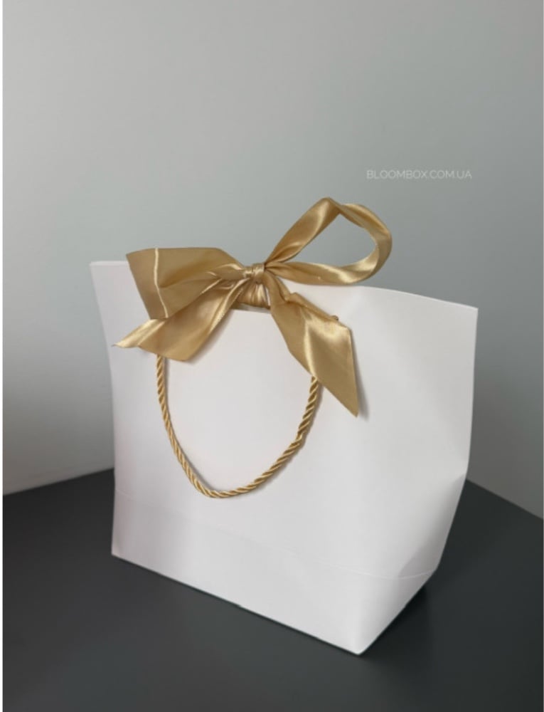 Пакет «сумочка»