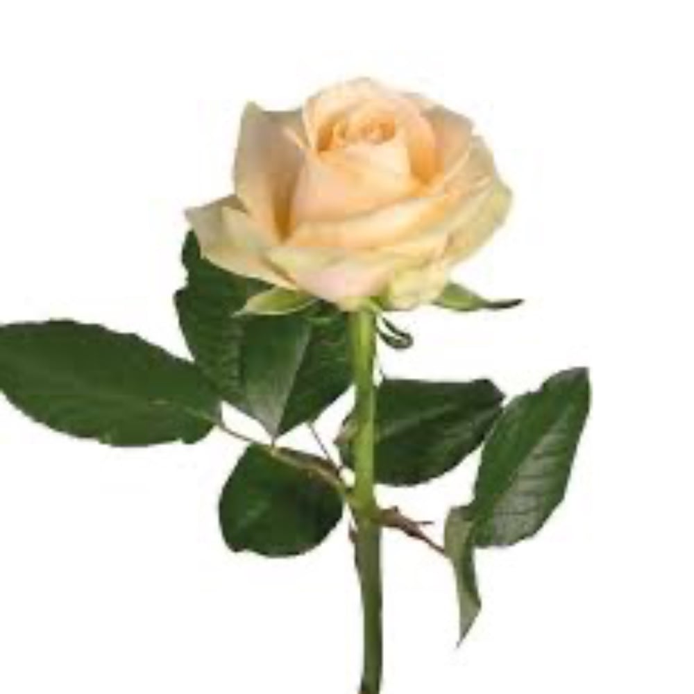 Піч аваланч 1 шт