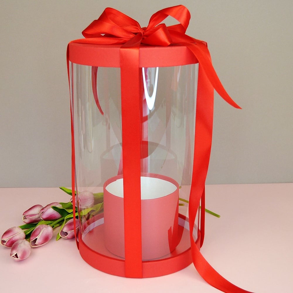 Прозора коробка - акваріум