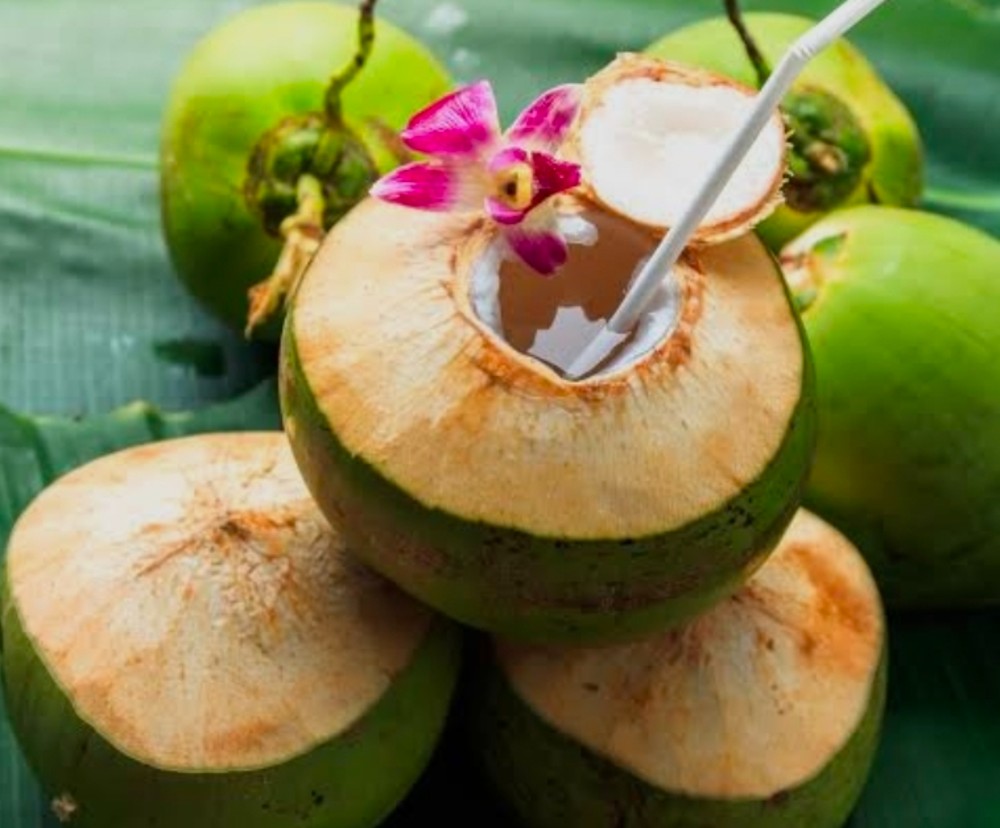 Fresh Young Coconut