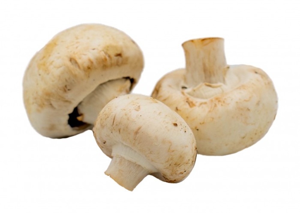 Гриби(добавка) 50гр