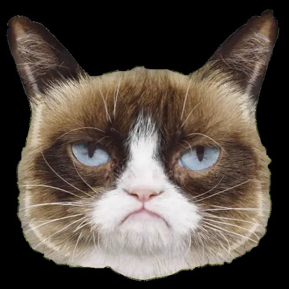 Фігура "Похмурий кіт" Китай