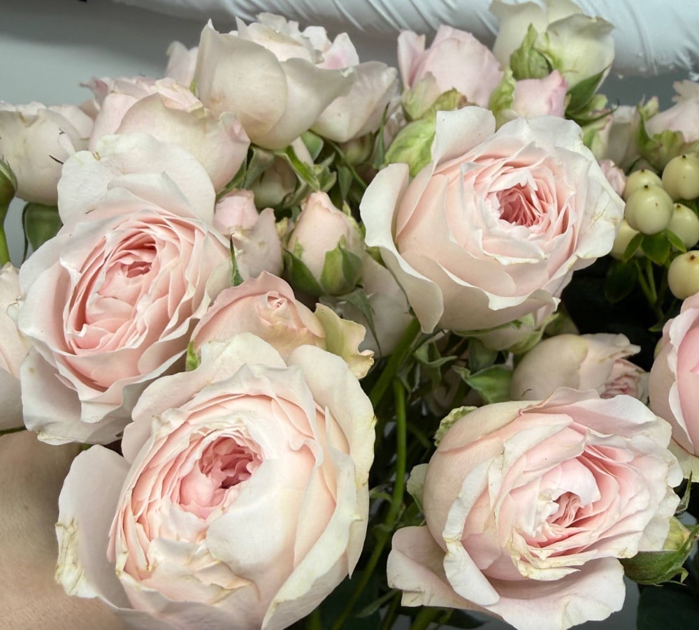 Троянда спрей Прінцес Фейрі пінк