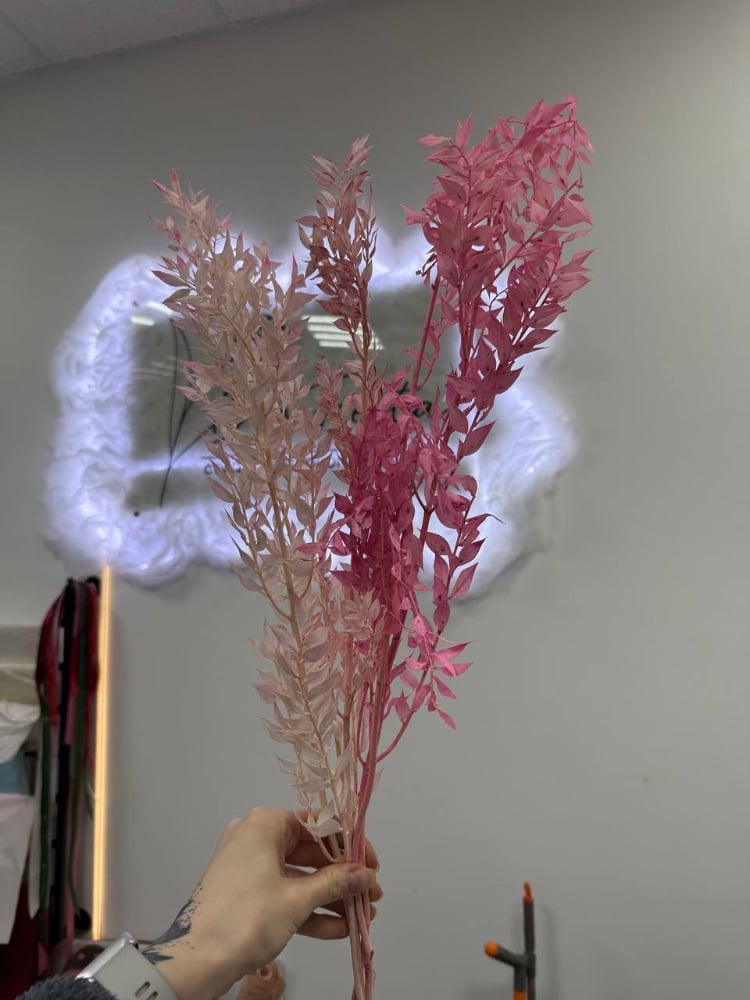 Рускус стабілізований рожевий