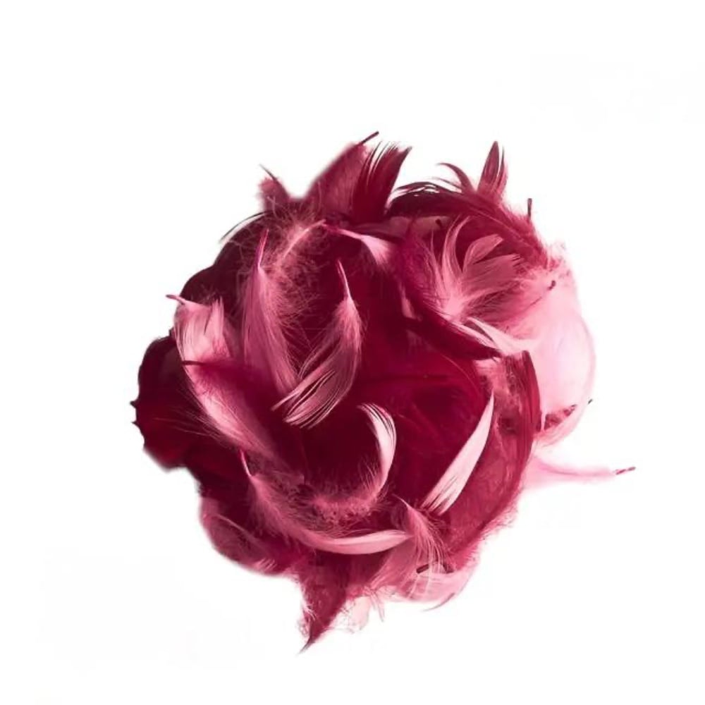 Набір пір'я - Малиново-рожеве