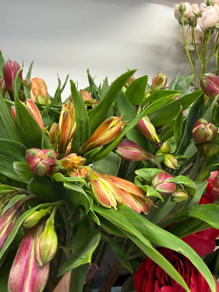 Альстромерія Мікс