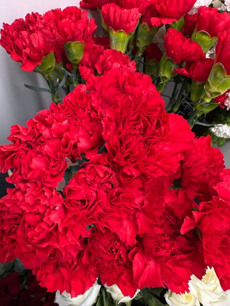 Гвоздика  Червона