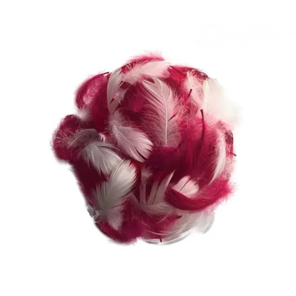 Набір пір'я - Малиново-біле