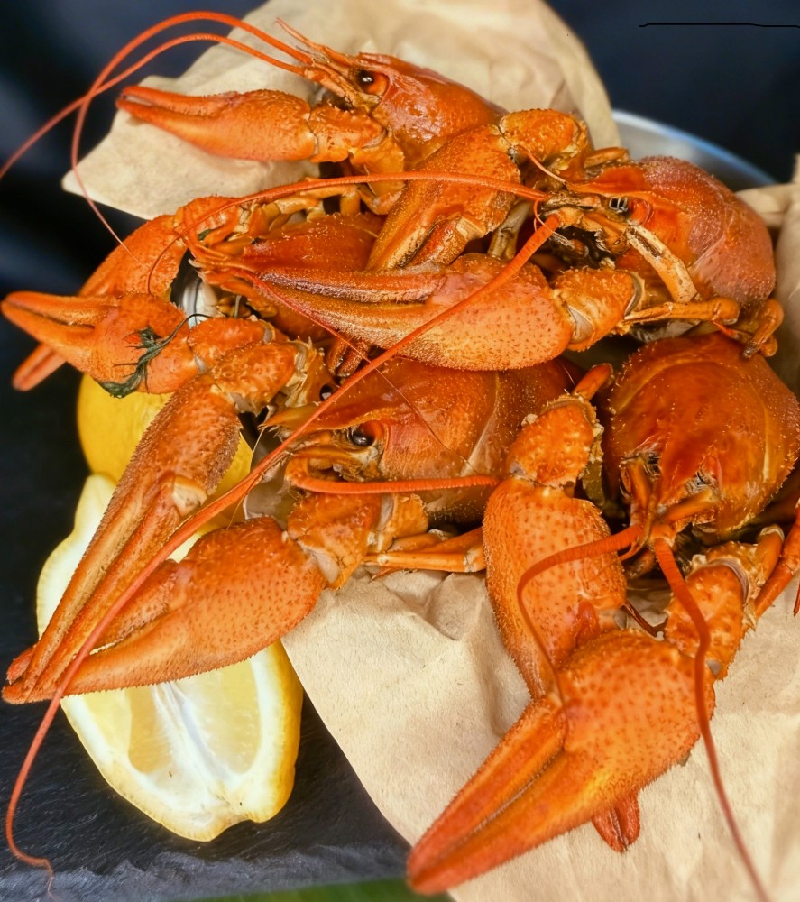 Раки варені великі 14-18шт 1кг