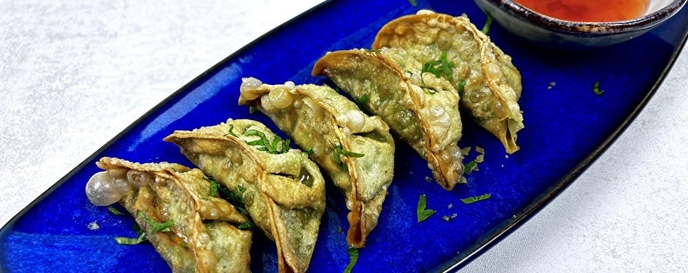 Gyoza vegan 5 ks