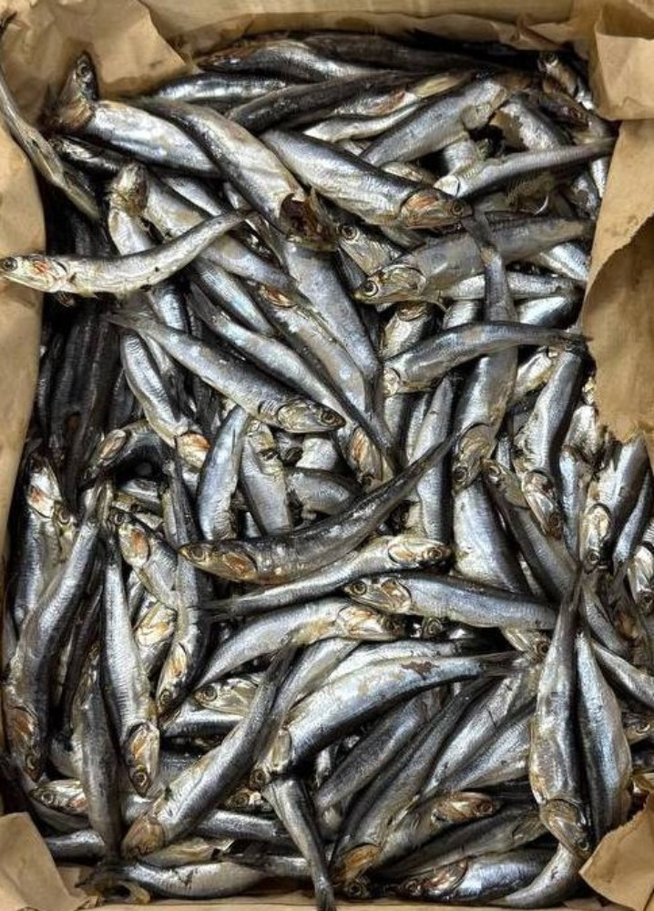 Хамса с/с ящик, 5кг