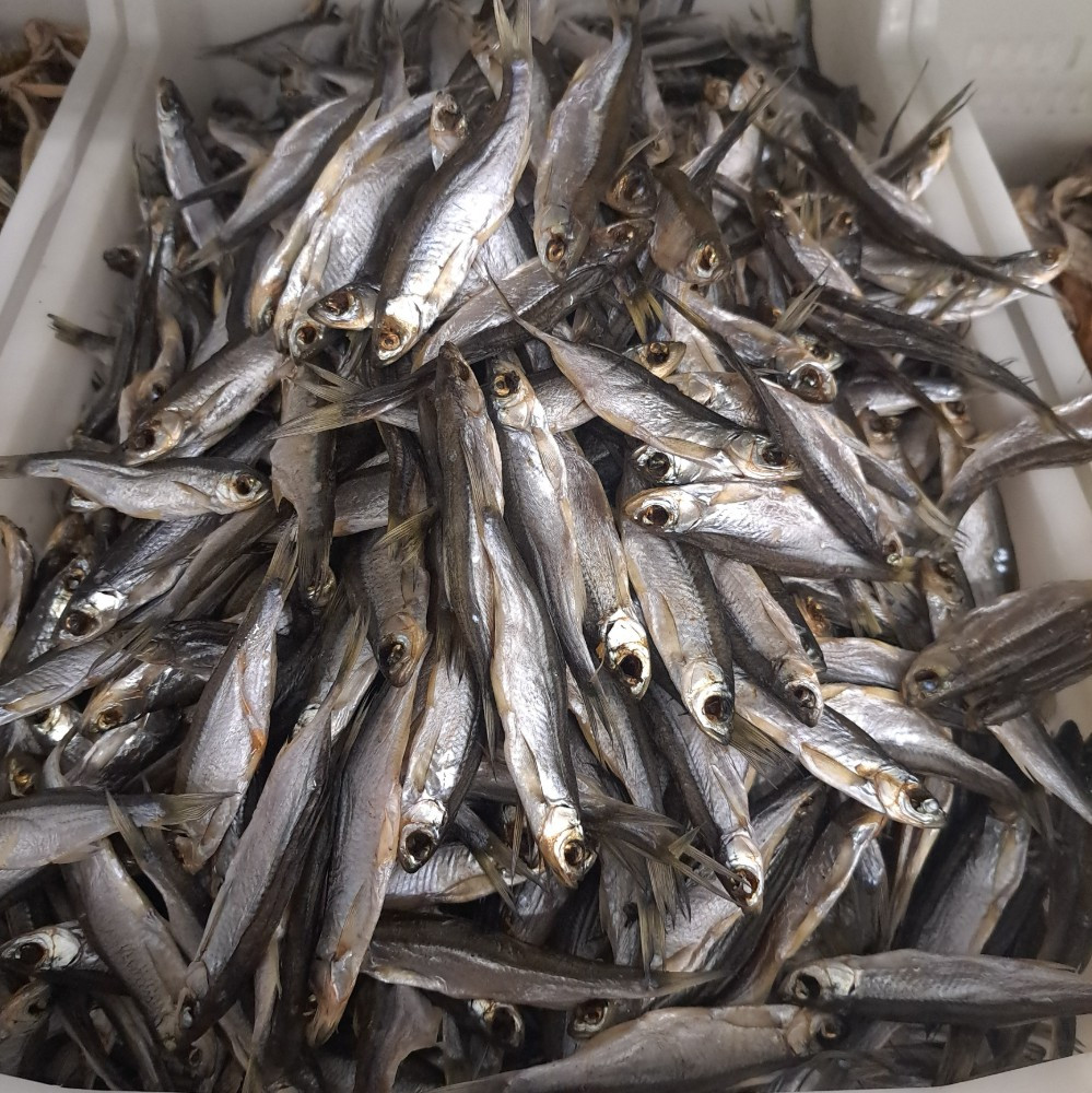 Верховодка