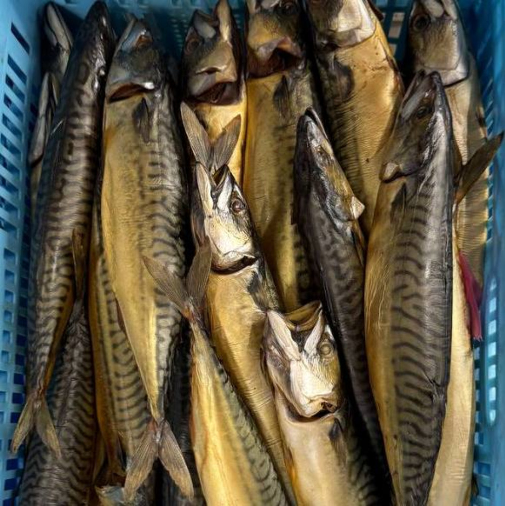 Скумбрія х/к з головою