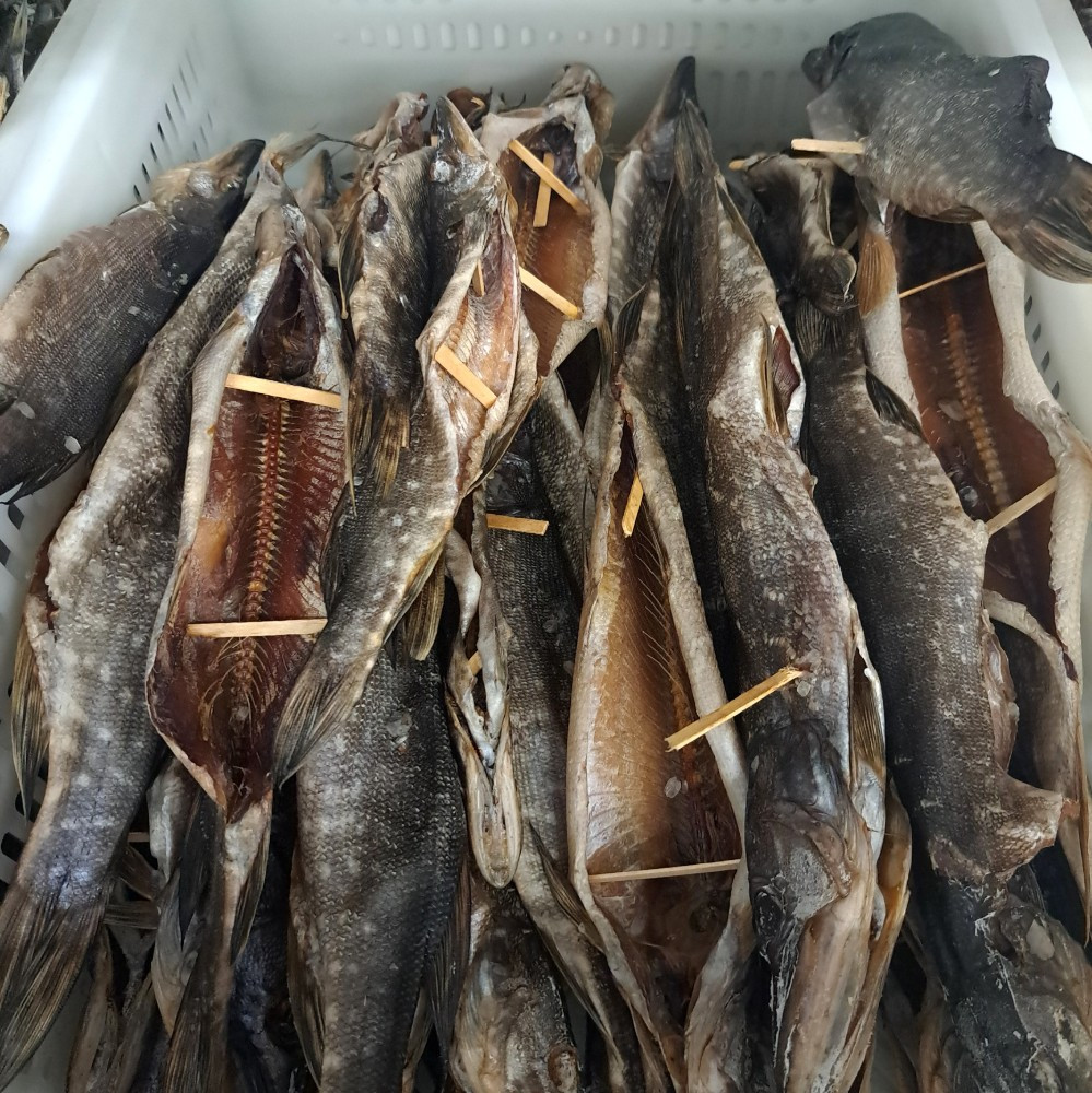 Щука в'ялена