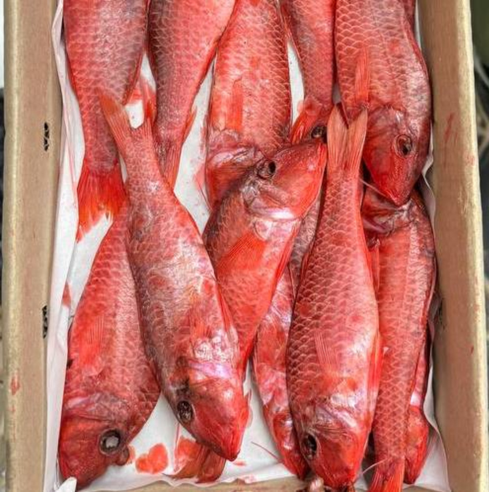 Барабуля в'ялена (ЗП)