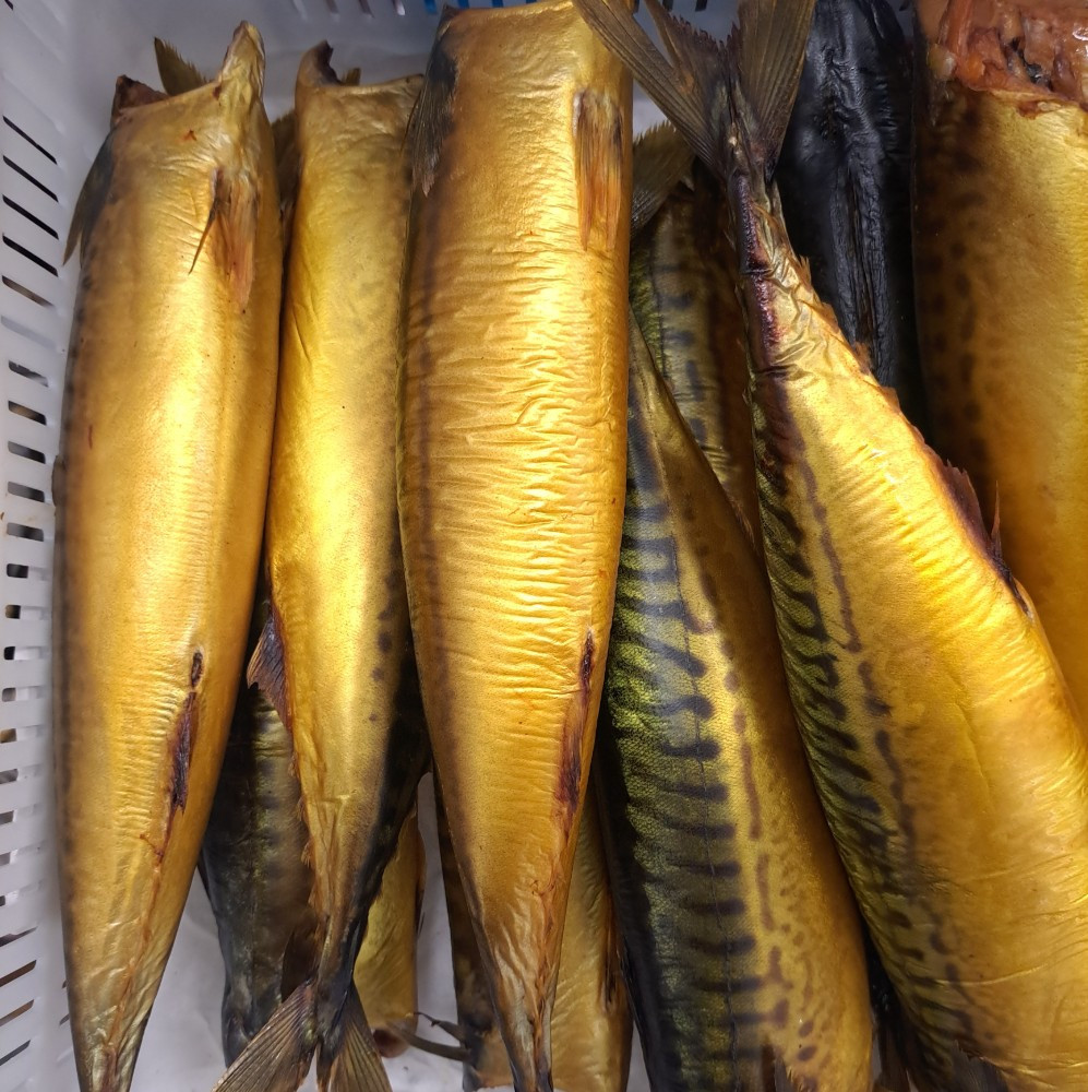 Скумбрія х/к б/г