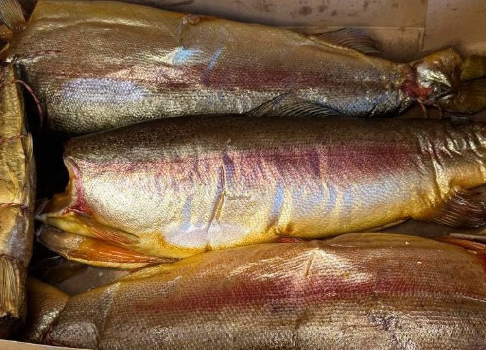 Форель х/к тушка