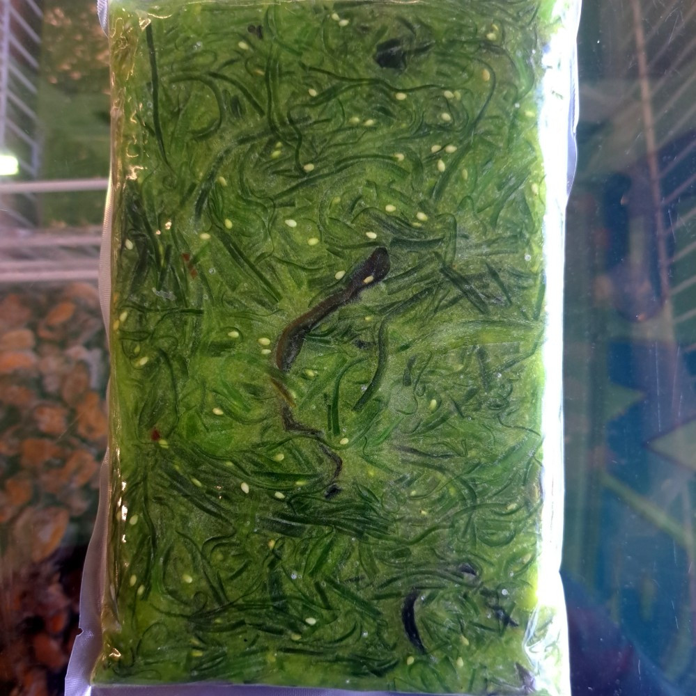 Салат вакаме морожений, 0.5кг