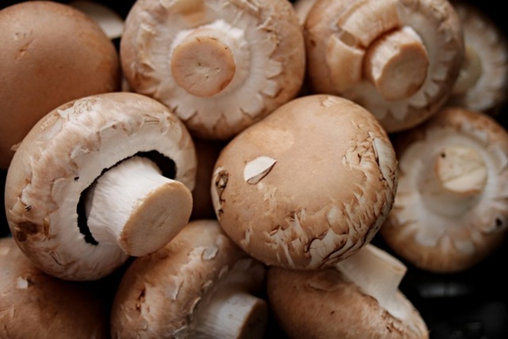 Mushrooms 50 gr