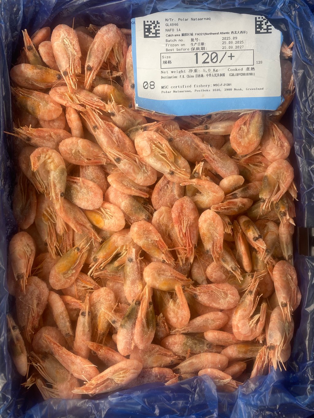 креветка в панцирі з /г  120+