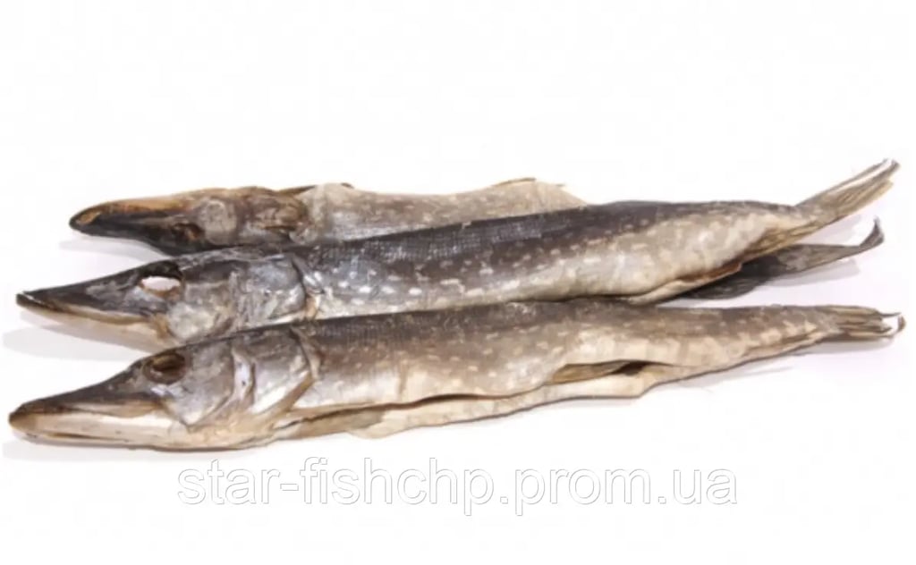 щука   в’ялена