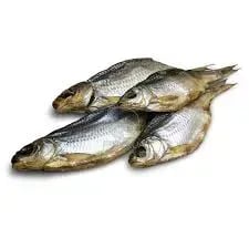 вобла з ікрою