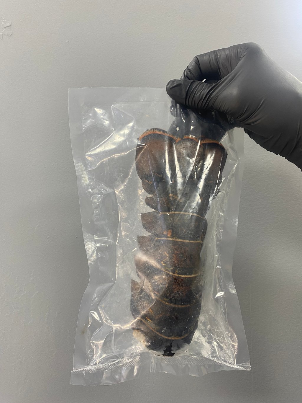 хвіст лобстера