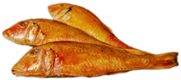 барабуля х/к