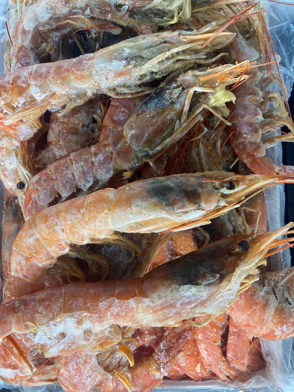 лангустін варений з/г  L1. кг