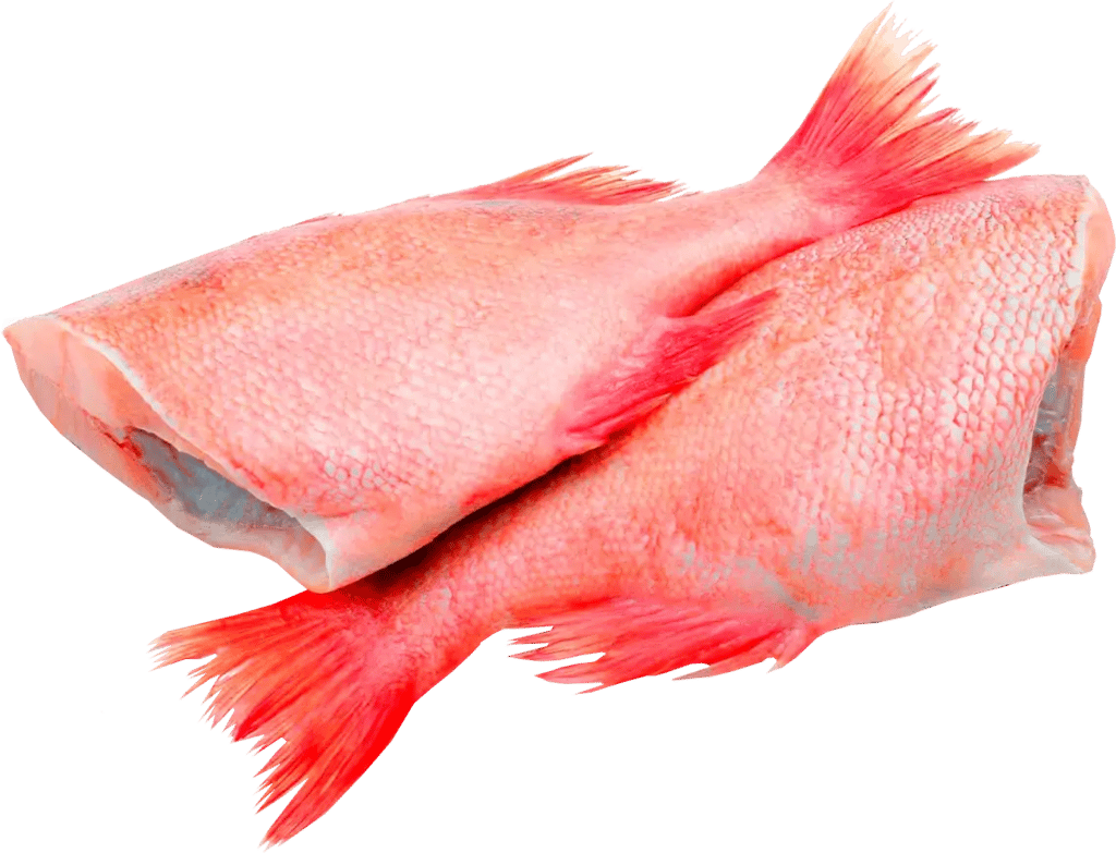 окунь  морський б/г