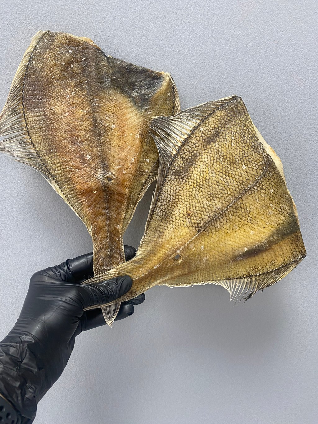 камбала в’ялен