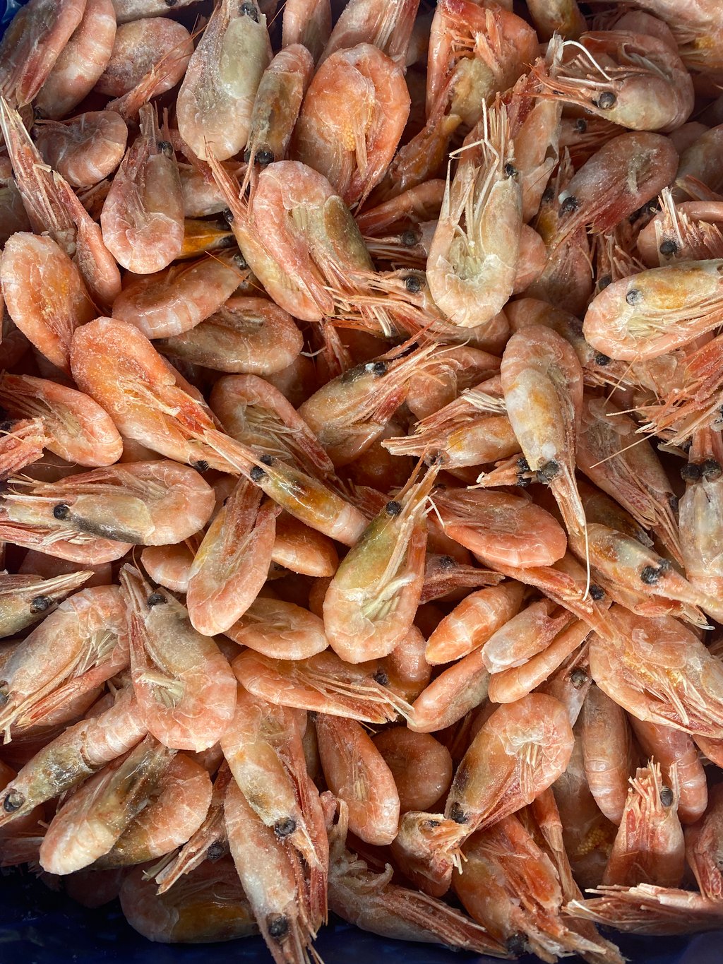 креветка в панцирі з/г 150+