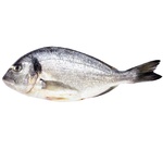 дорадо охолоджена