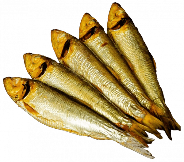 салака х/к  кг