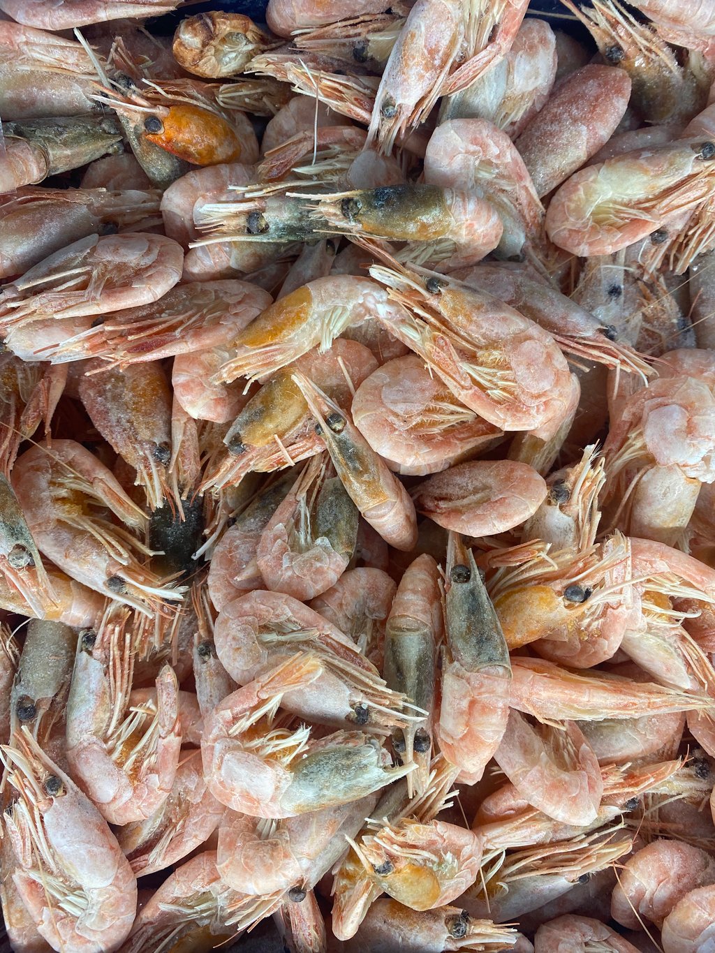 креветка в панцирі з/г 70/90- 5 кг