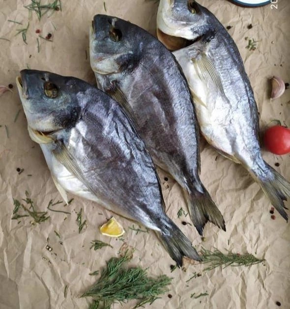 дорадо провісна