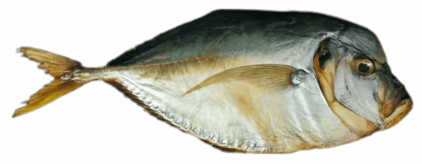 Вомер в'ялений, кг