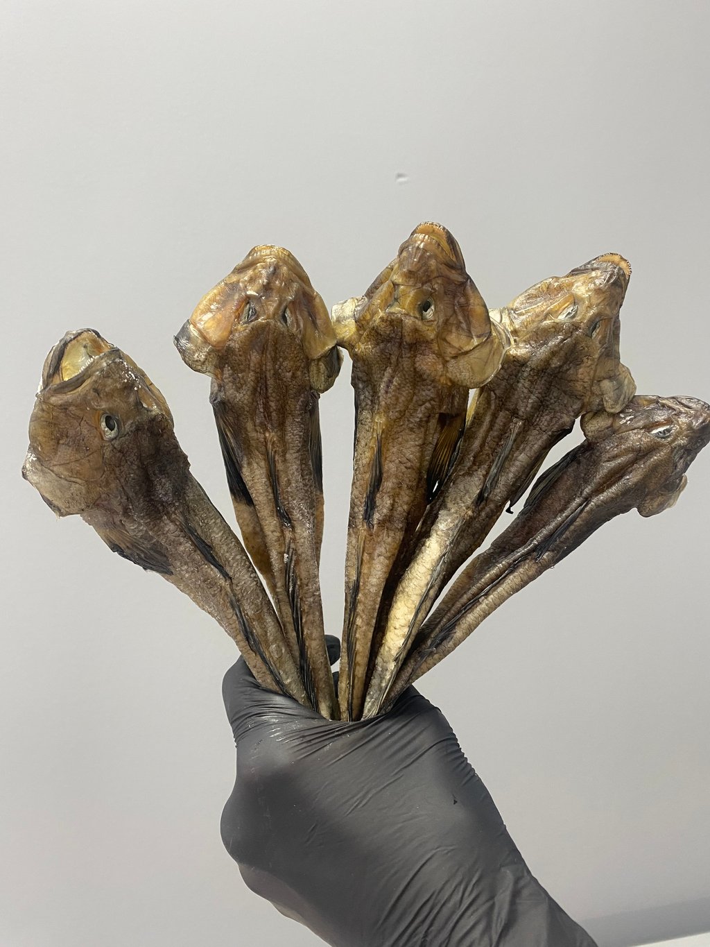 бичок балтійський преміум