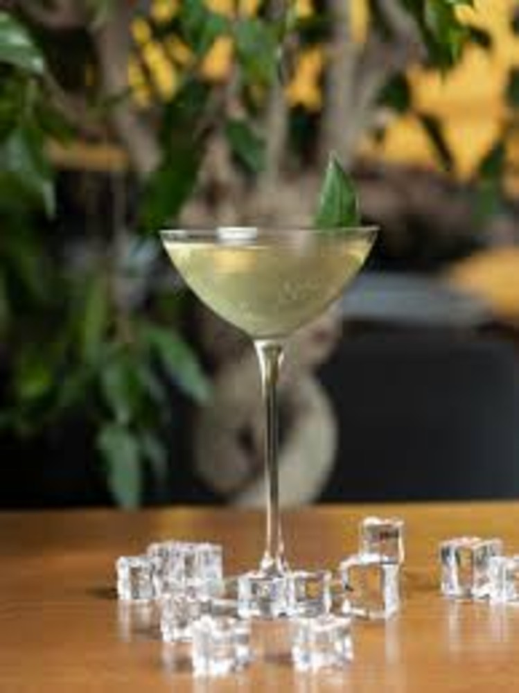 Gin Tonic