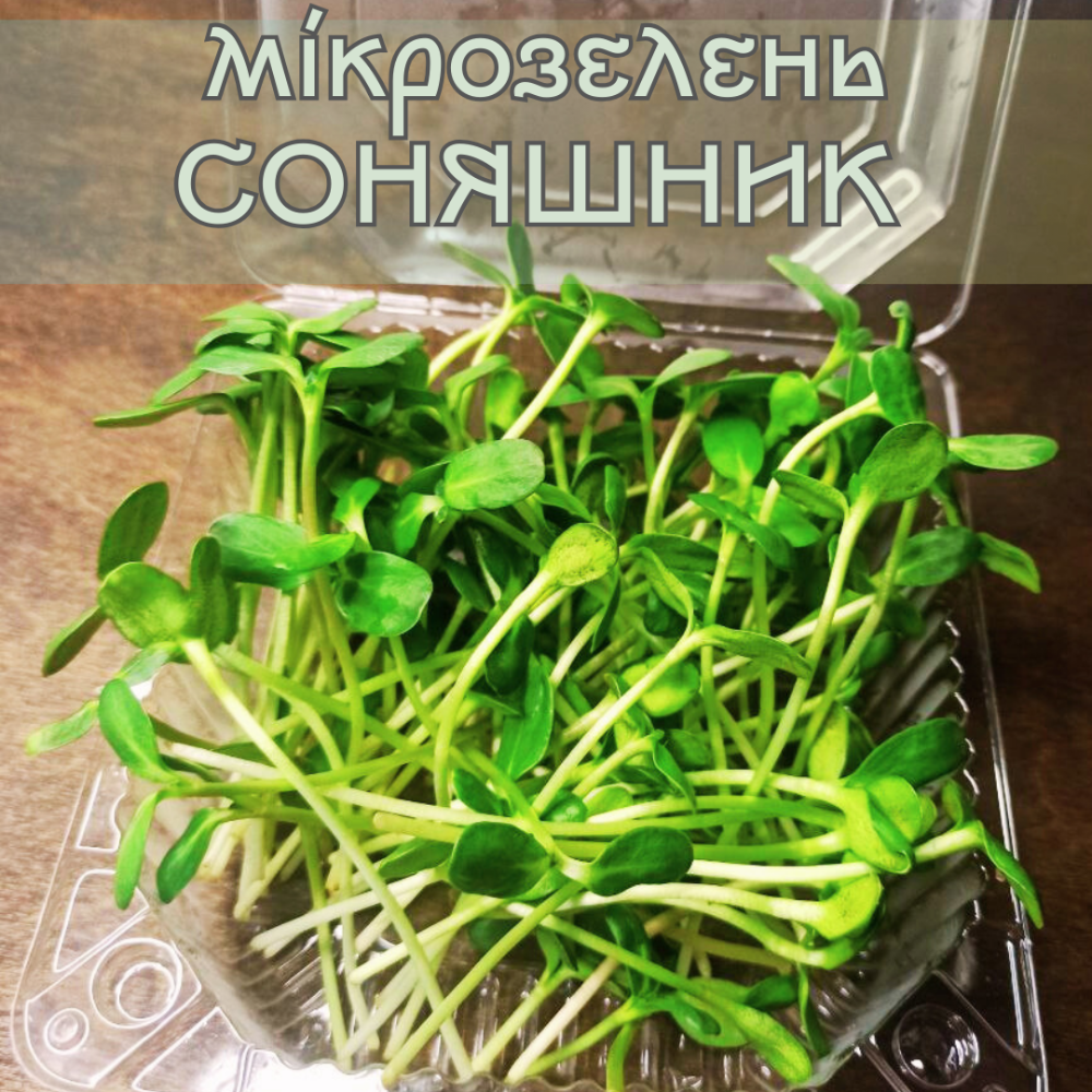 Мікрозелень соняшник 50 г.