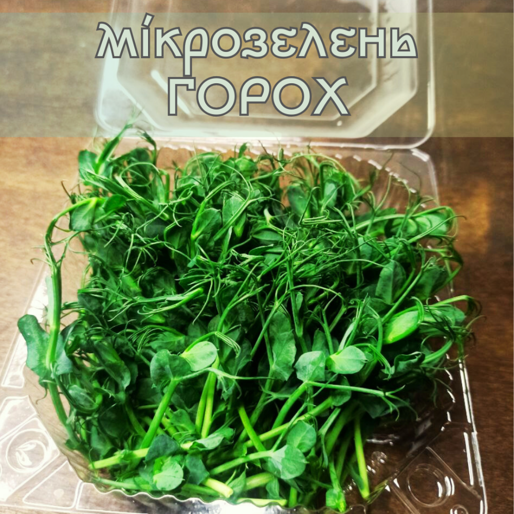 Мікрозелень горох 50 г.