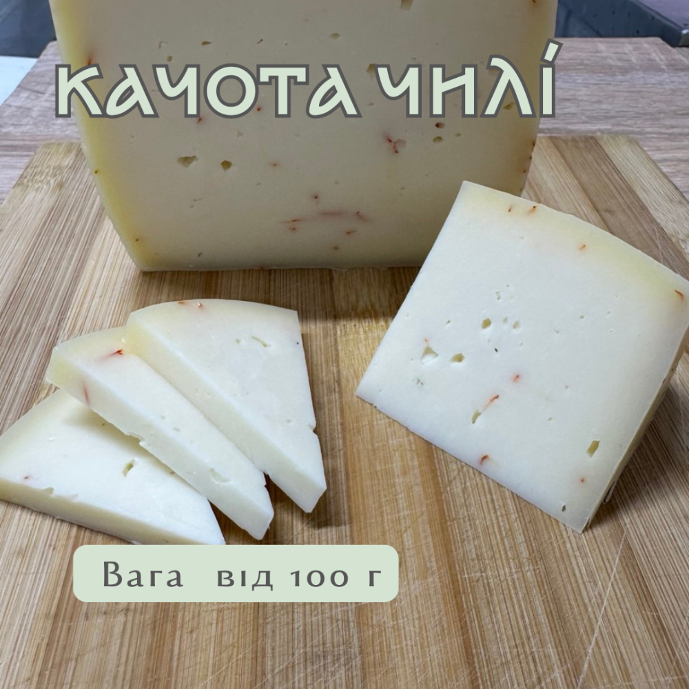 Качота Чилі