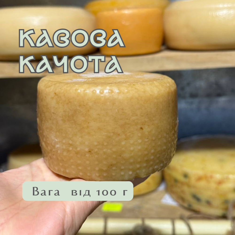 Качота кавова