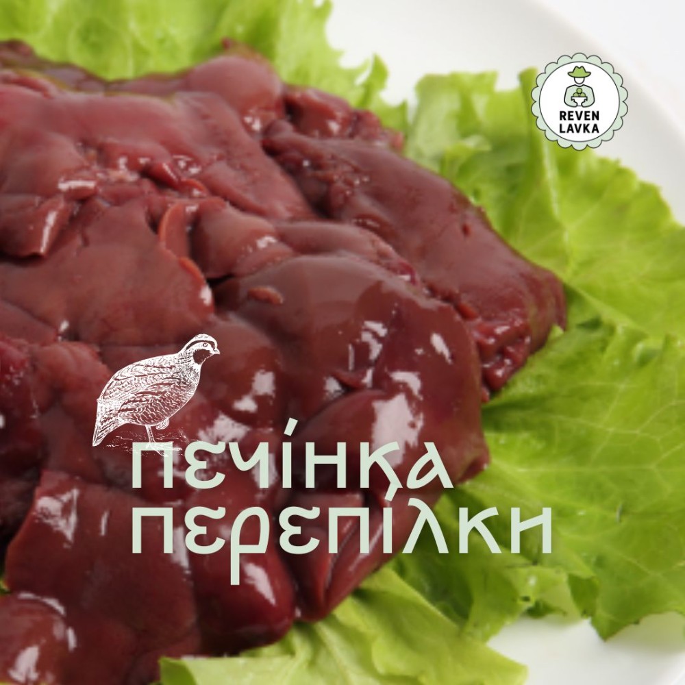 Печінка перепілки