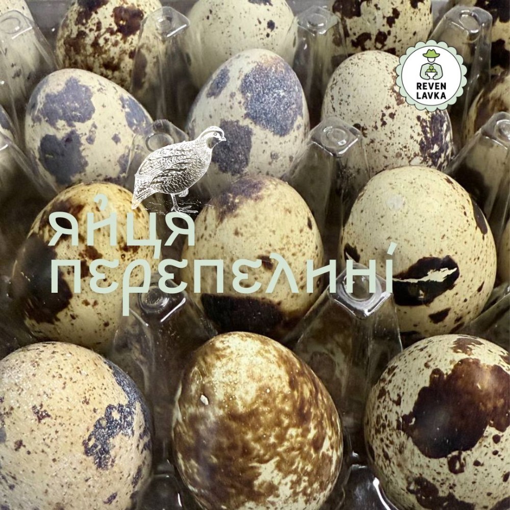 Яйця перепелині, 20 шт