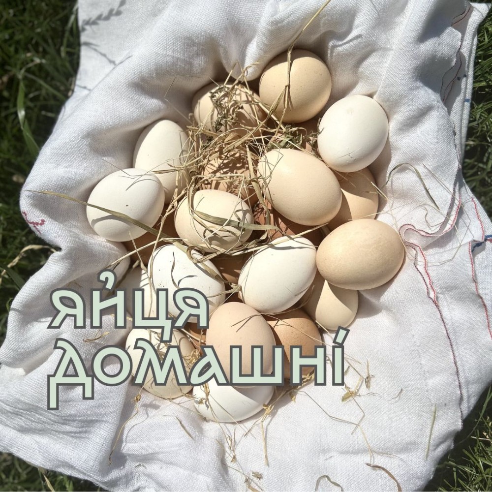 Яйця селянські
